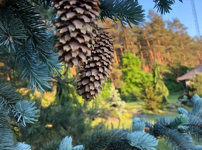 빌라 Przy Lesie 브론키