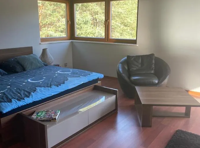 Przy Lesie * 브론키